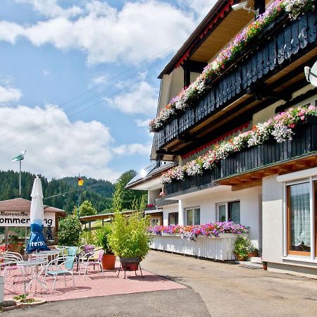 Landpension Am Sommerhang Bad Rippoldsau-Schapbach Екстер'єр фото