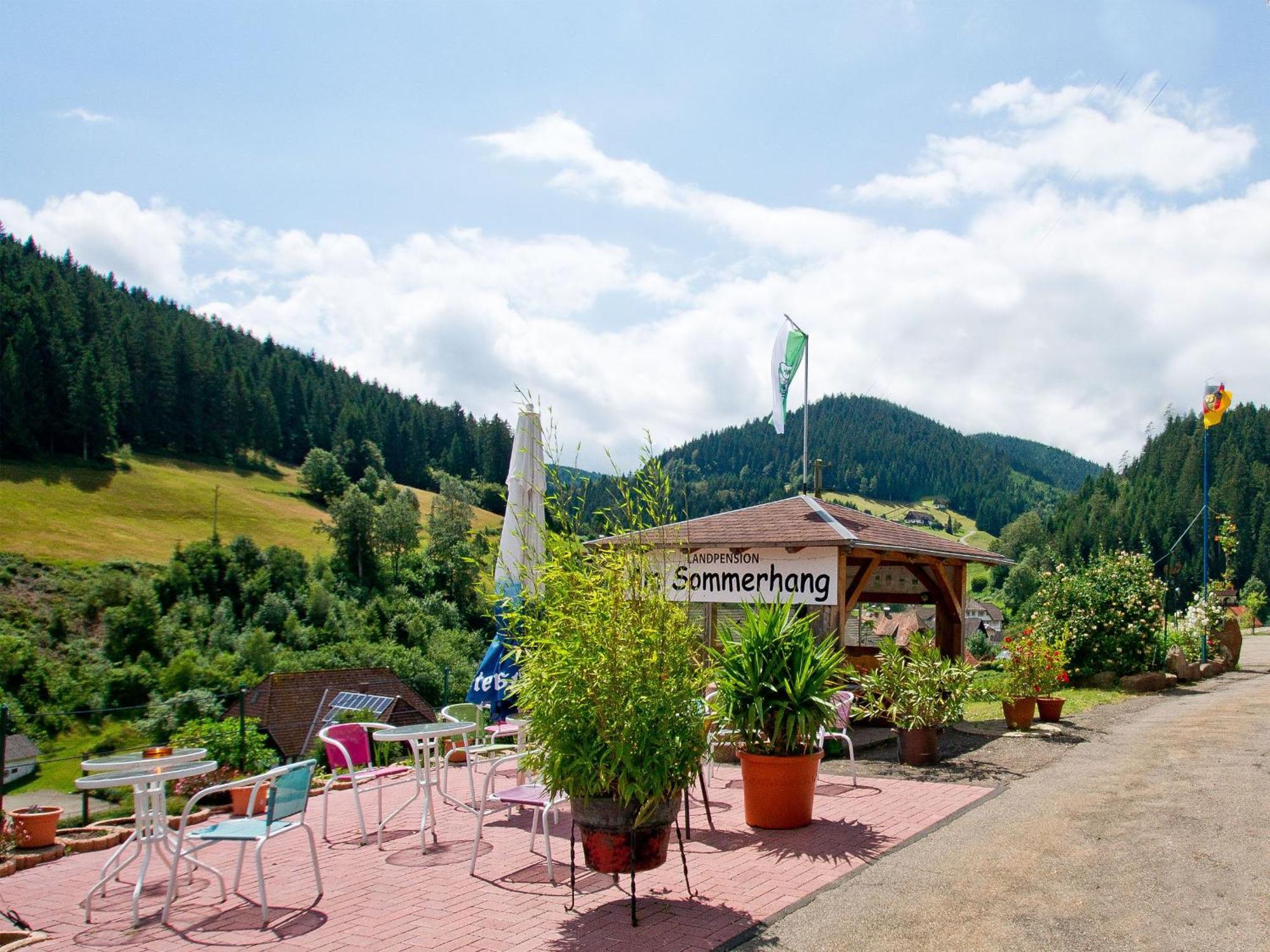 Landpension Am Sommerhang Bad Rippoldsau-Schapbach Екстер'єр фото