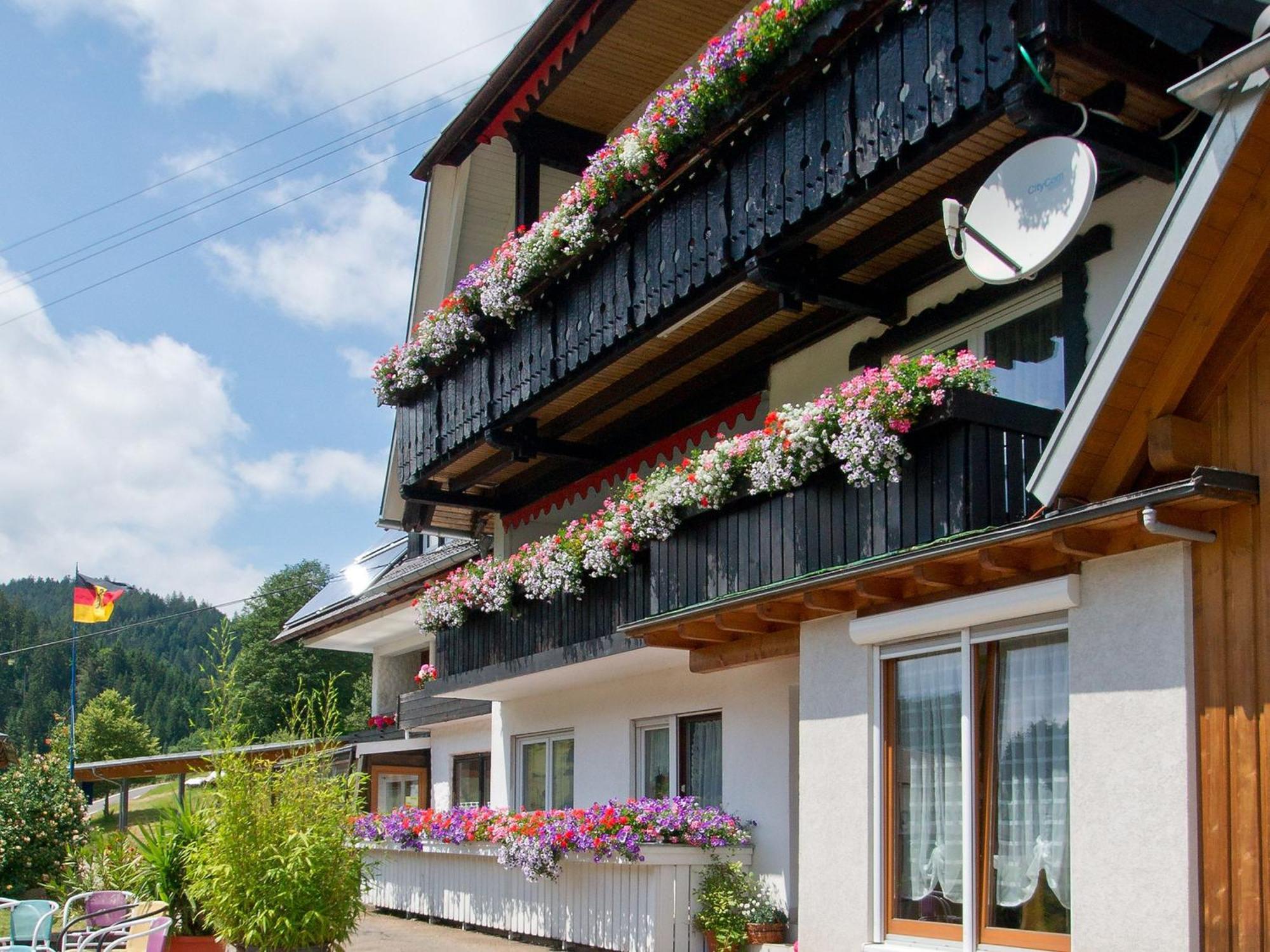 Landpension Am Sommerhang Bad Rippoldsau-Schapbach Екстер'єр фото