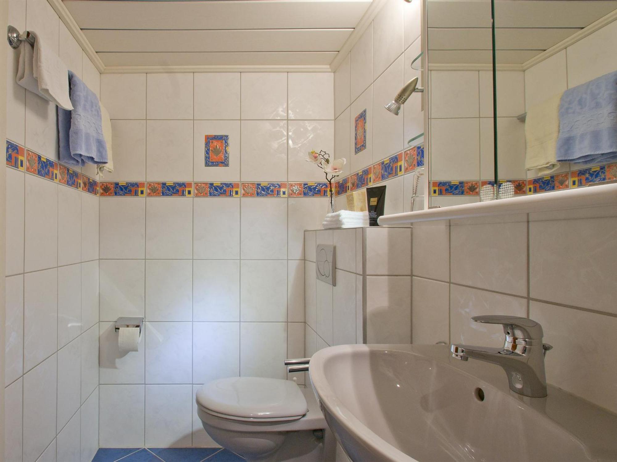 Landpension Am Sommerhang Bad Rippoldsau-Schapbach Екстер'єр фото