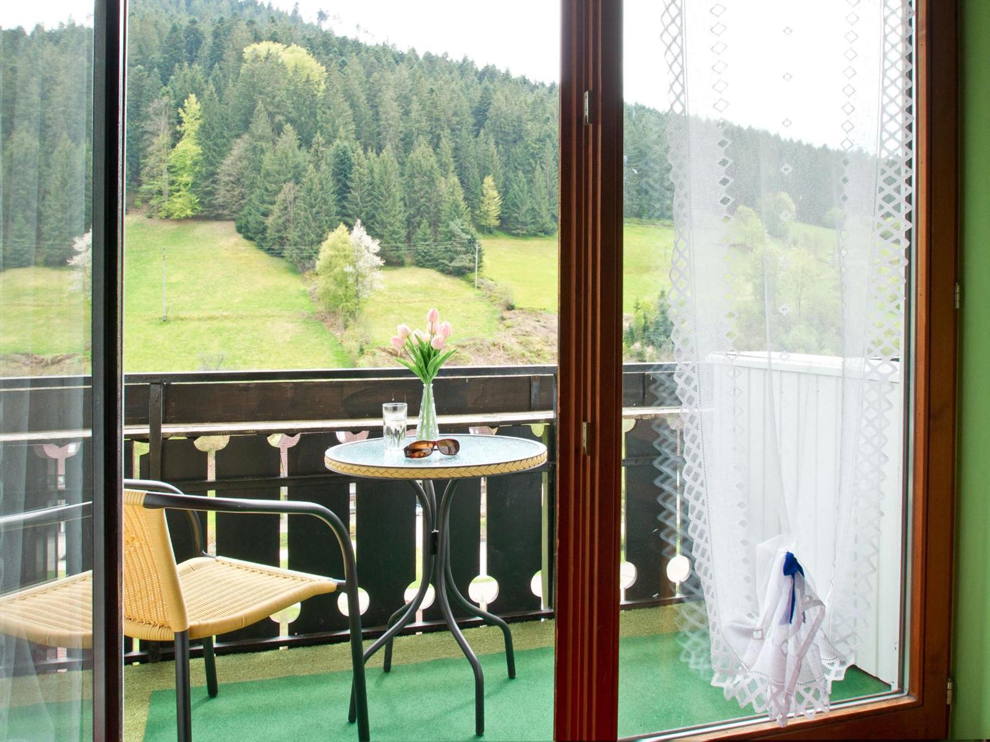 Landpension Am Sommerhang Bad Rippoldsau-Schapbach Екстер'єр фото