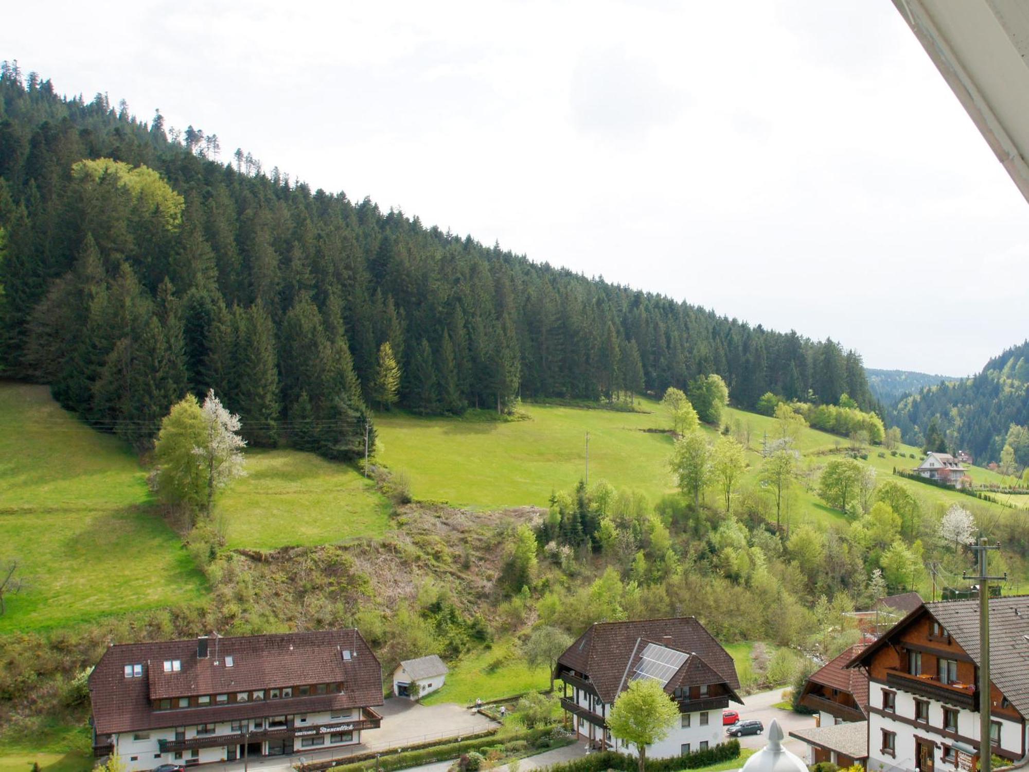 Landpension Am Sommerhang Bad Rippoldsau-Schapbach Екстер'єр фото
